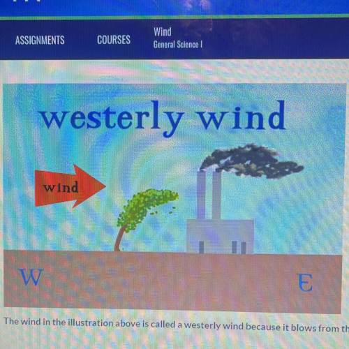 The wind in the illustration above is called a westerly wind because it blows from the____