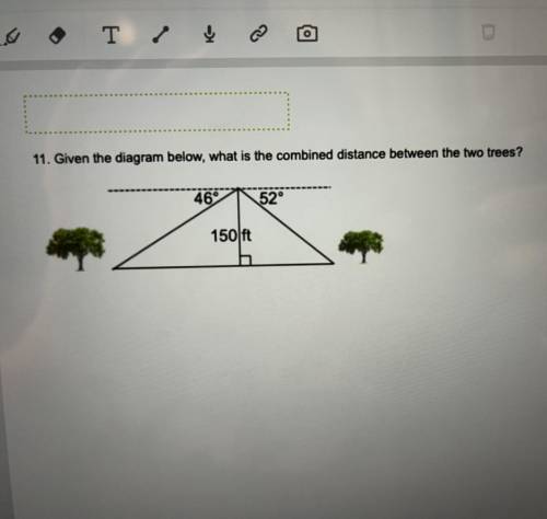 11. Given the diagram below, what is the combined distance between the two trees?