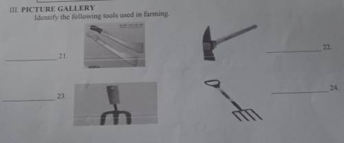 III. PICTURE GALLERY

Identify the following tools used in farming.  21.22.23.24.