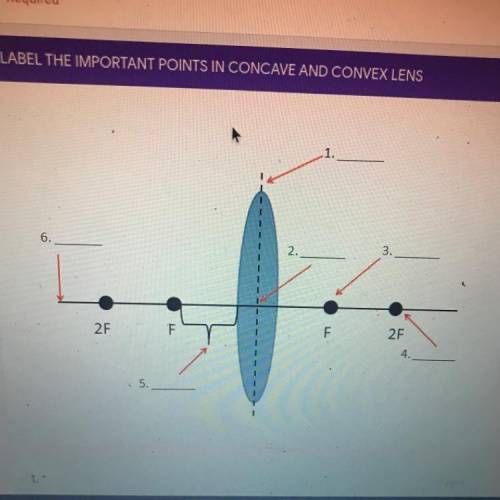 Label the important points in concave and convex lens

Need help 
There have a choices 
Vertical a