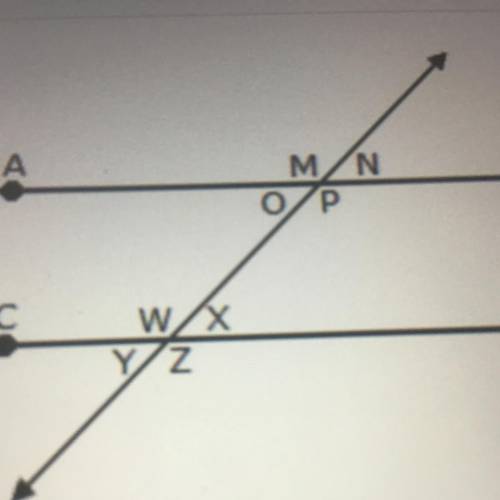 Lines AB and CD are parallel. If the measure of 20 equals 60°, what is the measure of W?

OA. 75