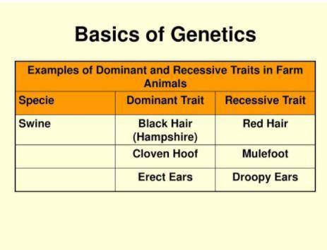 Use the genetics chart below to solve the following genetics problem. Two pigs that are hybrid clov