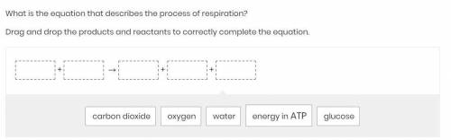 What is the equation that describes the process of respiration?

Drag and drop the products and re