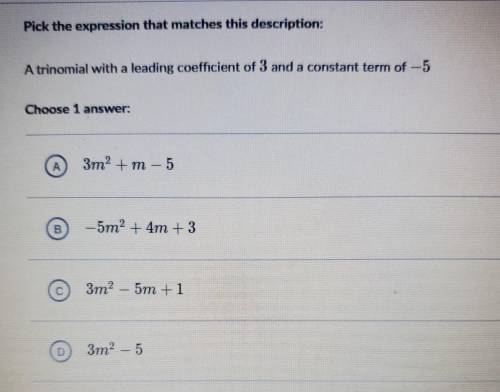 I need help with polynomials