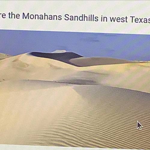 These are the Monahans Sandhills in West Texas.

Which process is most likely directly responsible
