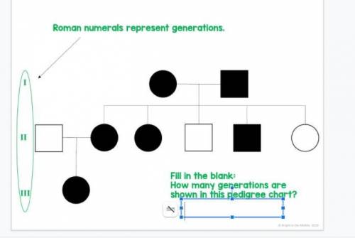How many generations are shown in this pedigree chart