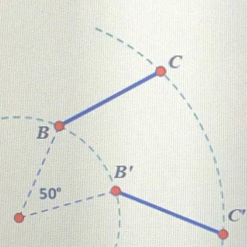 A student has was asked to rotate BC 50° about the origin. What have they done wrong?